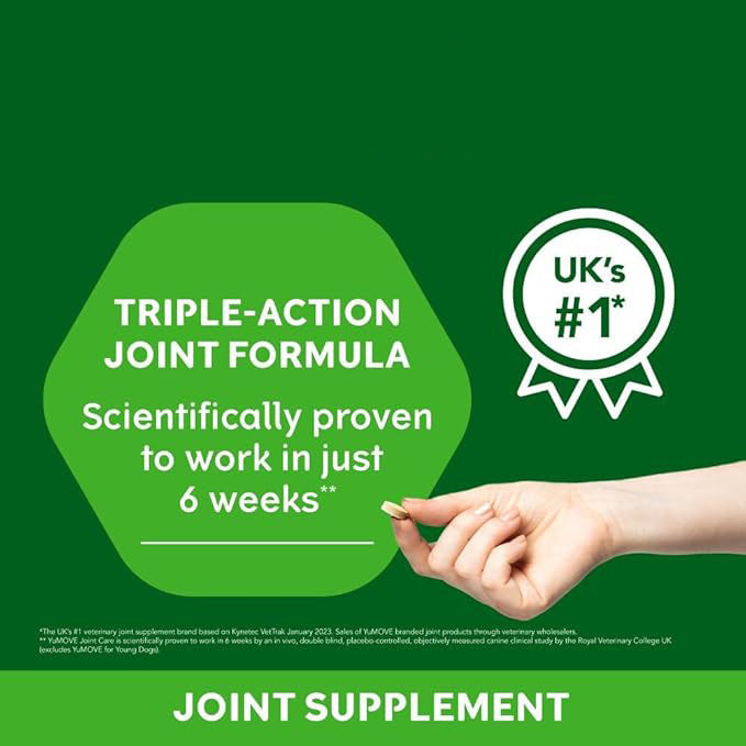 Pet Hip and Joint Supplement with Glucosamine Tablets